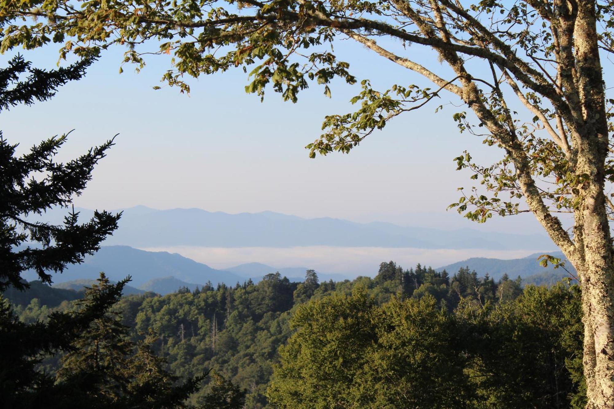 ガトリンバーグStairway To Heaven, Breathtaking Mtn Views Indoor Pool & Hot Tubアパートメント エクステリア 写真